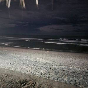 Meet your Posher, Omar